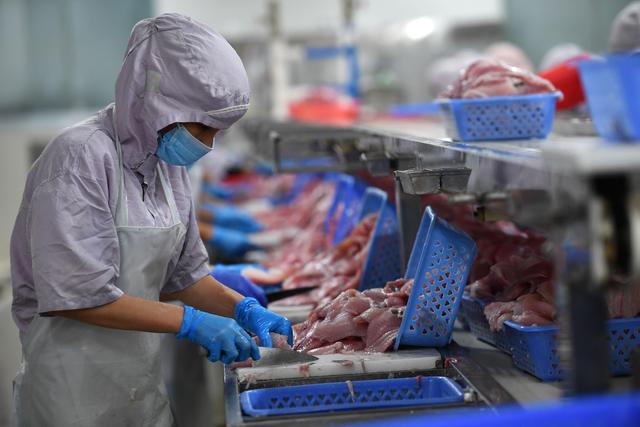 海南水产出口企业陆续复工复产 水产品稳供保障全球市场