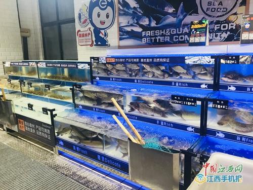 联盛水产 愿年年有“鱼”，共享丰盛水产盛宴
