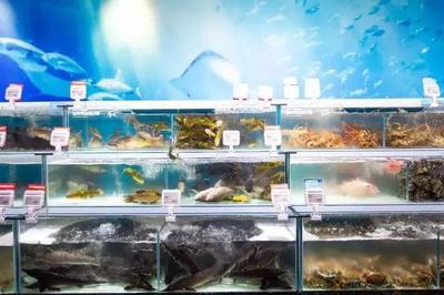 总统级&ldquo;网红店&rdquo;落户青山,1月22日正式开业,不见不散!