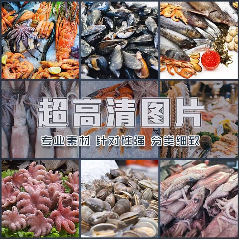 超大超高清图片海鲜鱼类螃蟹蛤蜊贝类水产品章鱼鱿鱼大虾海产素材
